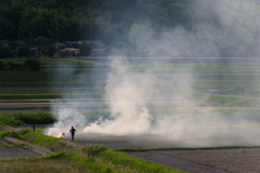 野焼き