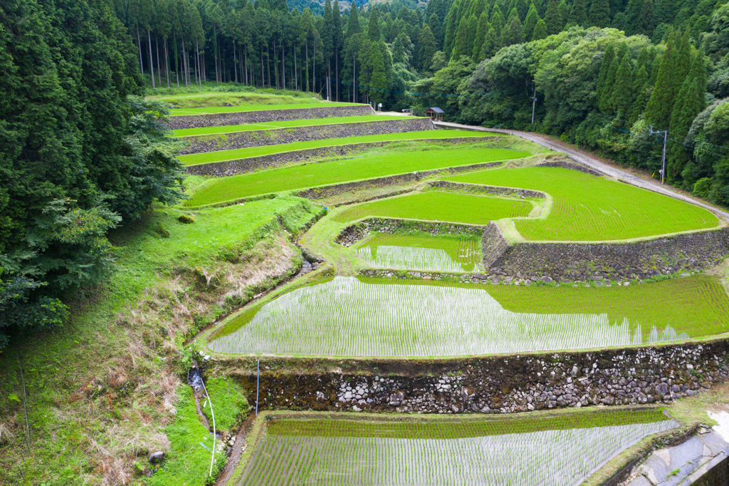 幸田の棚田 By Gamasan Id 764 写真共有サイト Photohito