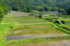 八重の棚田