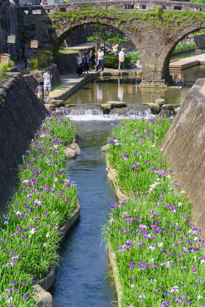 高瀬裏川花しょうぶまつり