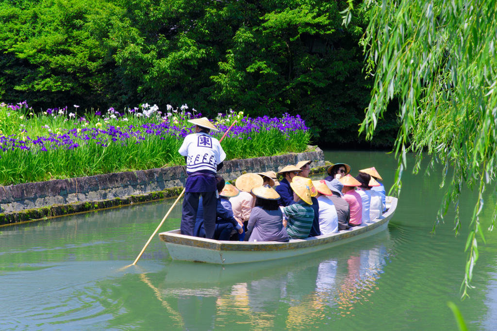初夏の柳川下り