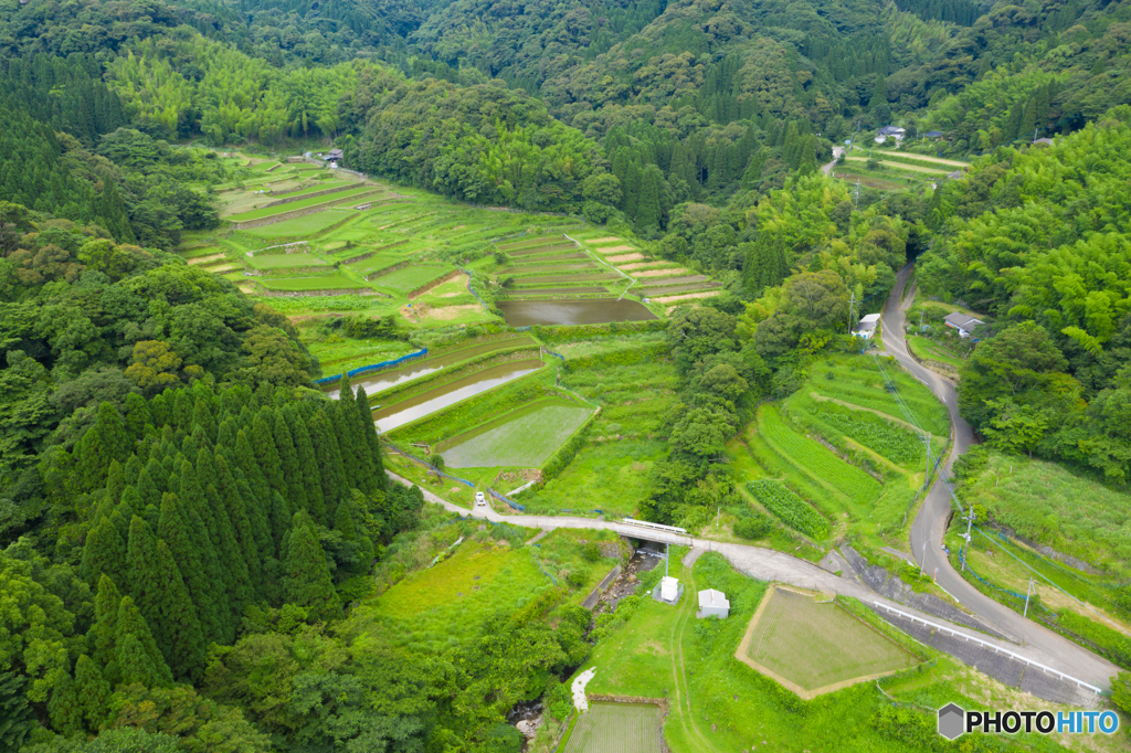 内ノ尾の棚田