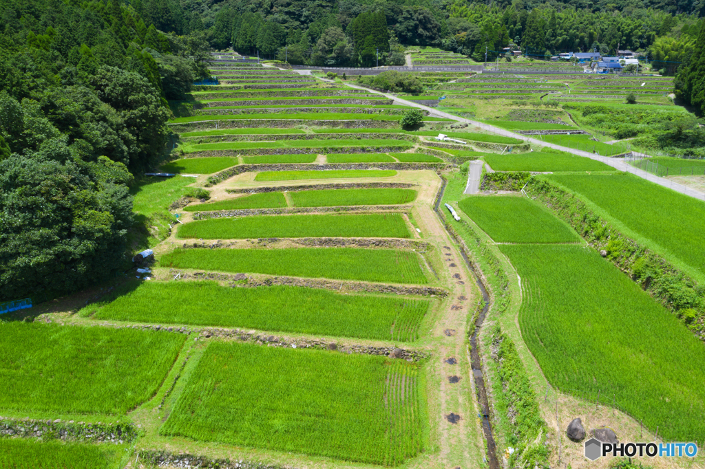 八重の棚田