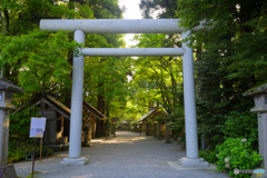 天岩戸神社 参道