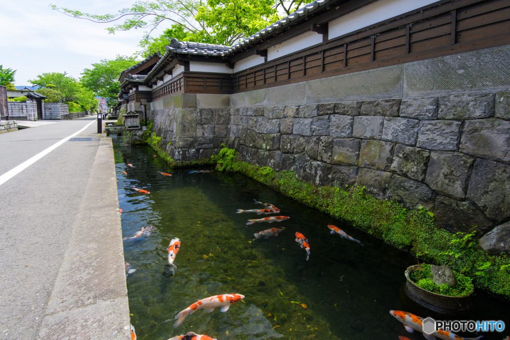 鯉の泳ぐ城下町