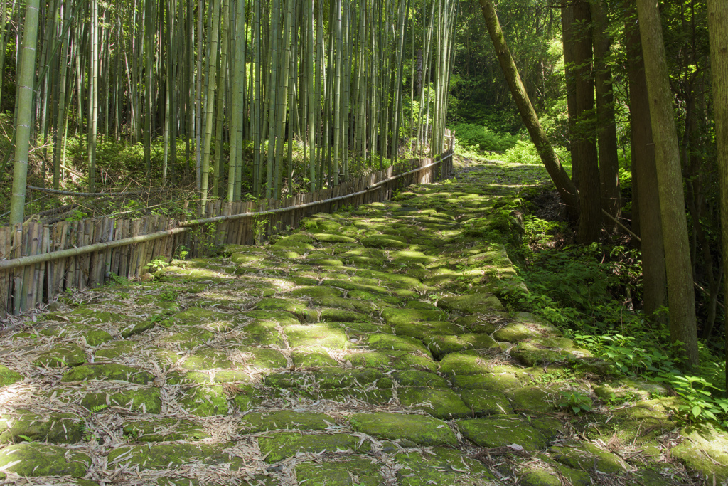 龍門司坂