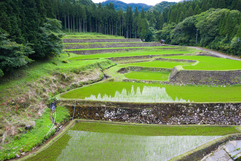 幸田の棚田 By Gamasan Id 763 写真共有サイト Photohito