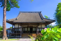 夏の浄専寺