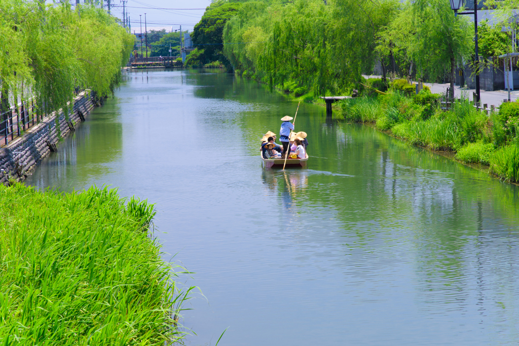 初夏の柳川下り