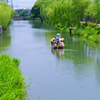 初夏の柳川下り