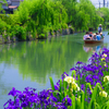 初夏の柳川下り