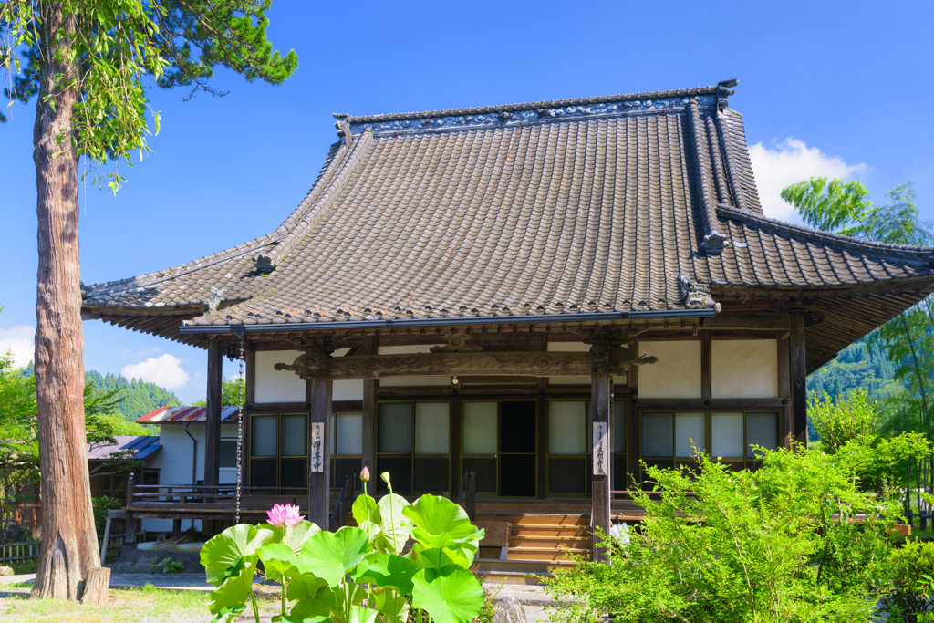夏の浄専寺
