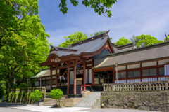 初夏の鹿児島神宮