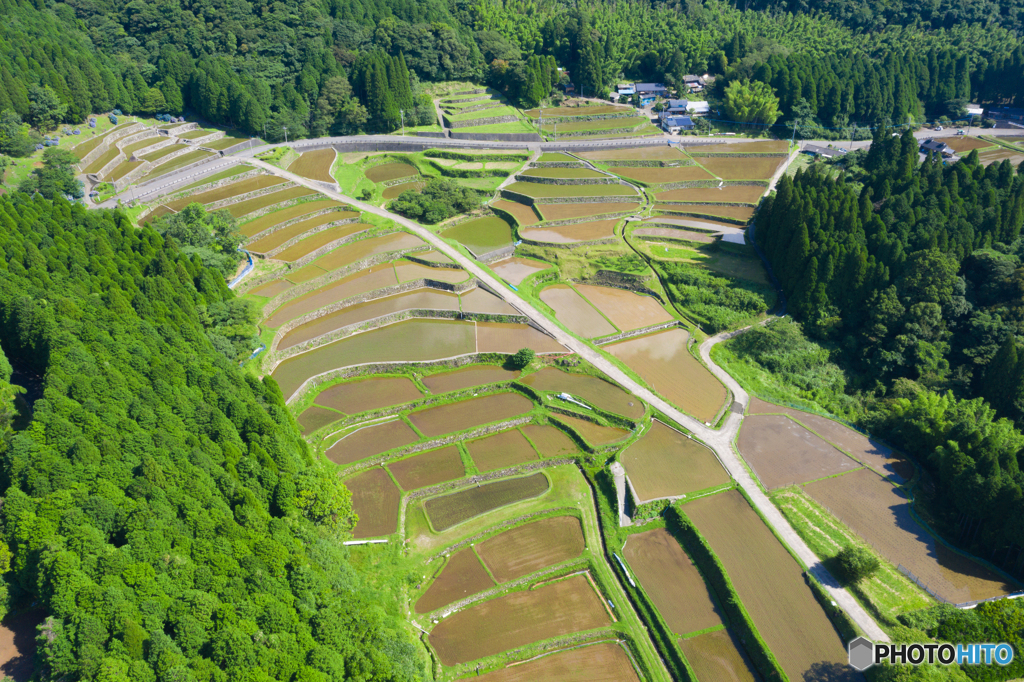 八重の棚田