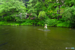 初夏のおのころ池