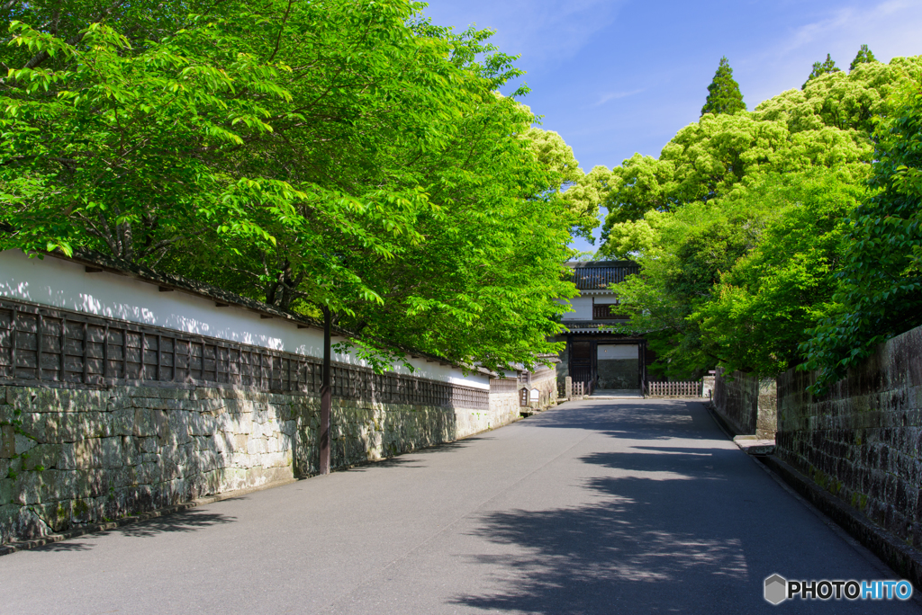 新緑の飫肥城大手門