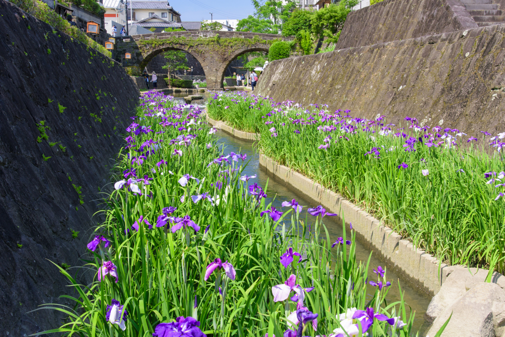 高瀬裏川花しょうぶまつり