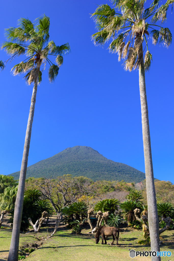 開門山麓自然公園