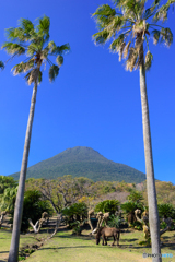 開門山麓自然公園