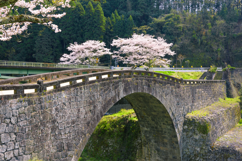 桜の霊台橋