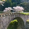 桜の霊台橋