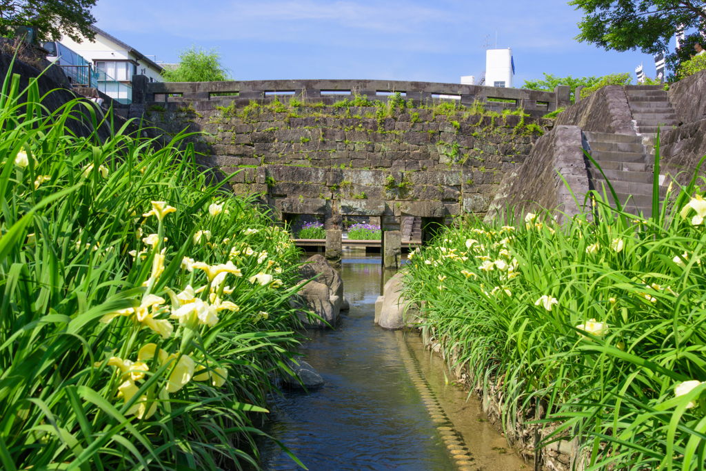 高瀬裏川花しょうぶまつり