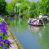 初夏の柳川下り