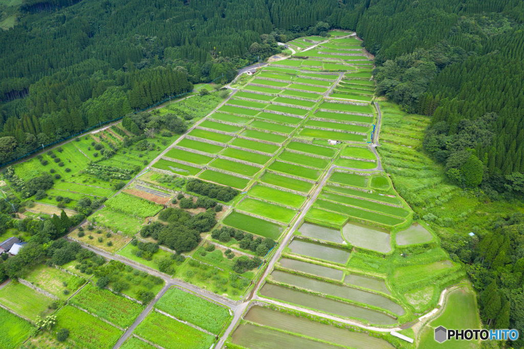 坂元棚田