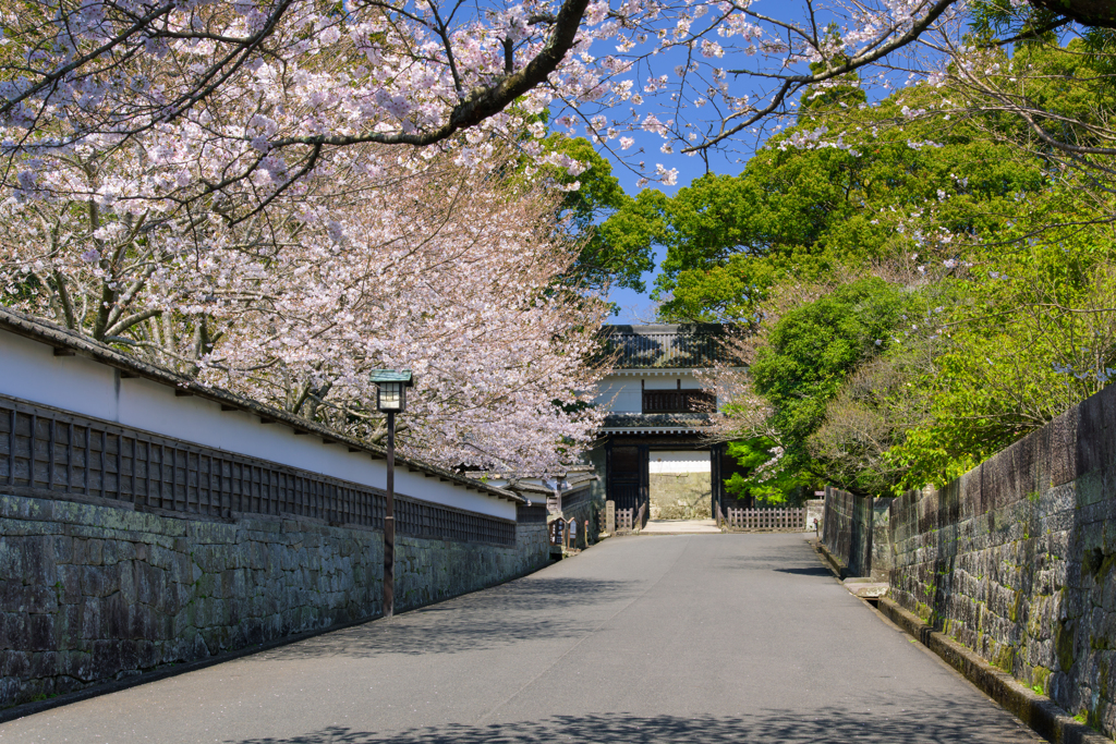 春の飫肥城大手門