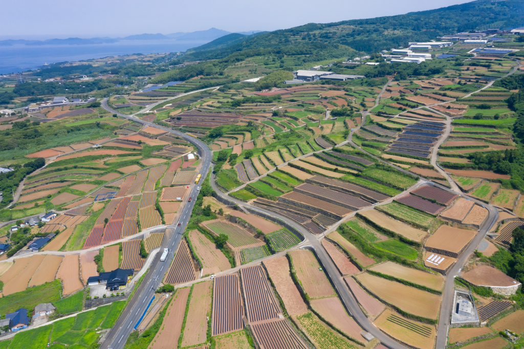 長島町の段々畑