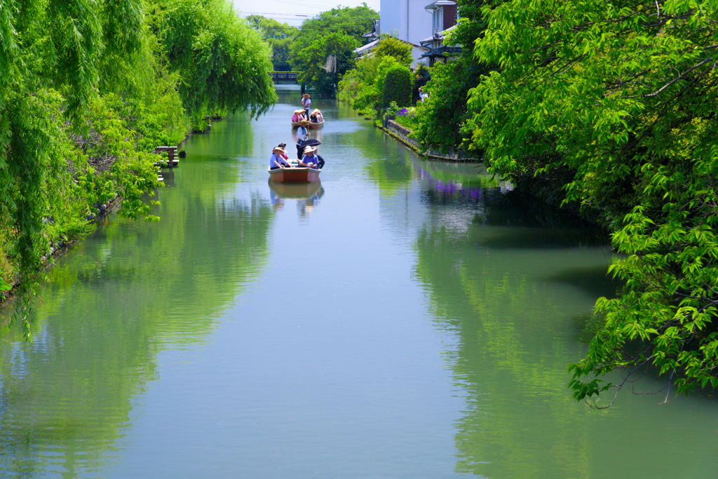 初夏の柳川下り