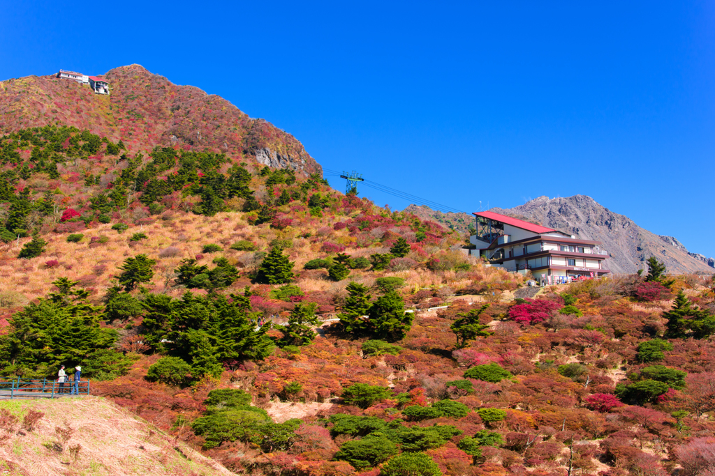 秋の仁田峠