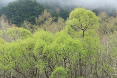 AM7時26分の上高地