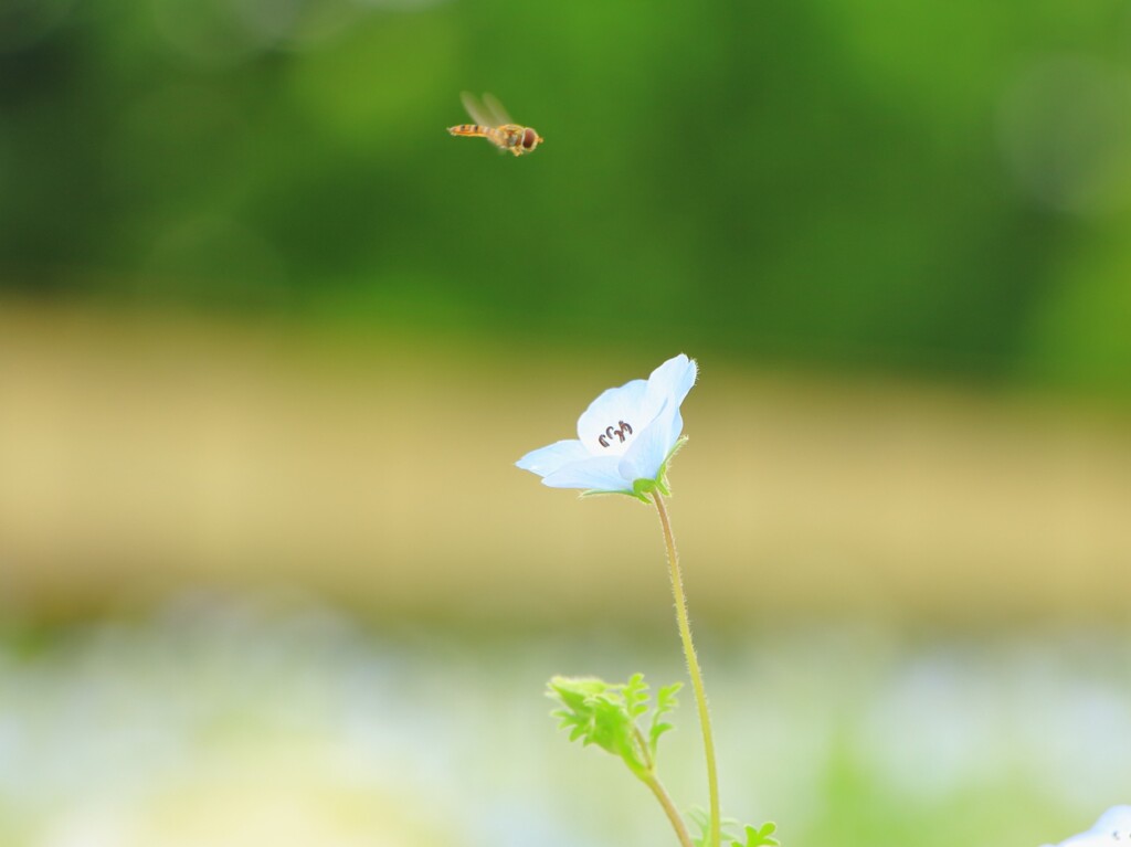 春の陽気