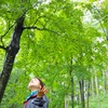 降り注ぐ緑