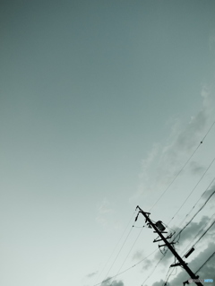 空と電信柱