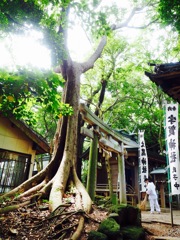 神聖なところ
