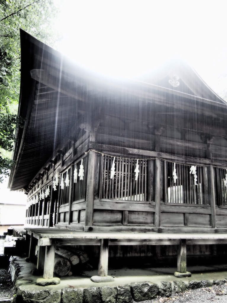 雨と神社