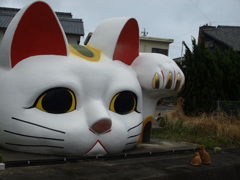 猫　にらみ合い