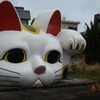 猫　にらみ合い