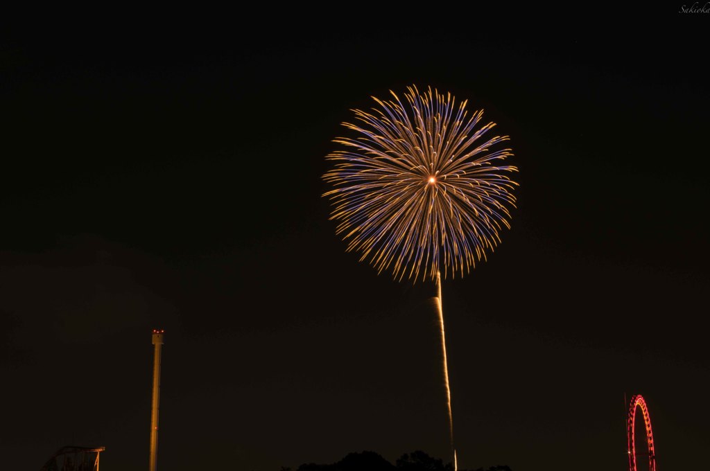 花火_2015.8.9_3