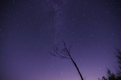 山梨県 天神山付近にて