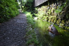 忍野八海の細道