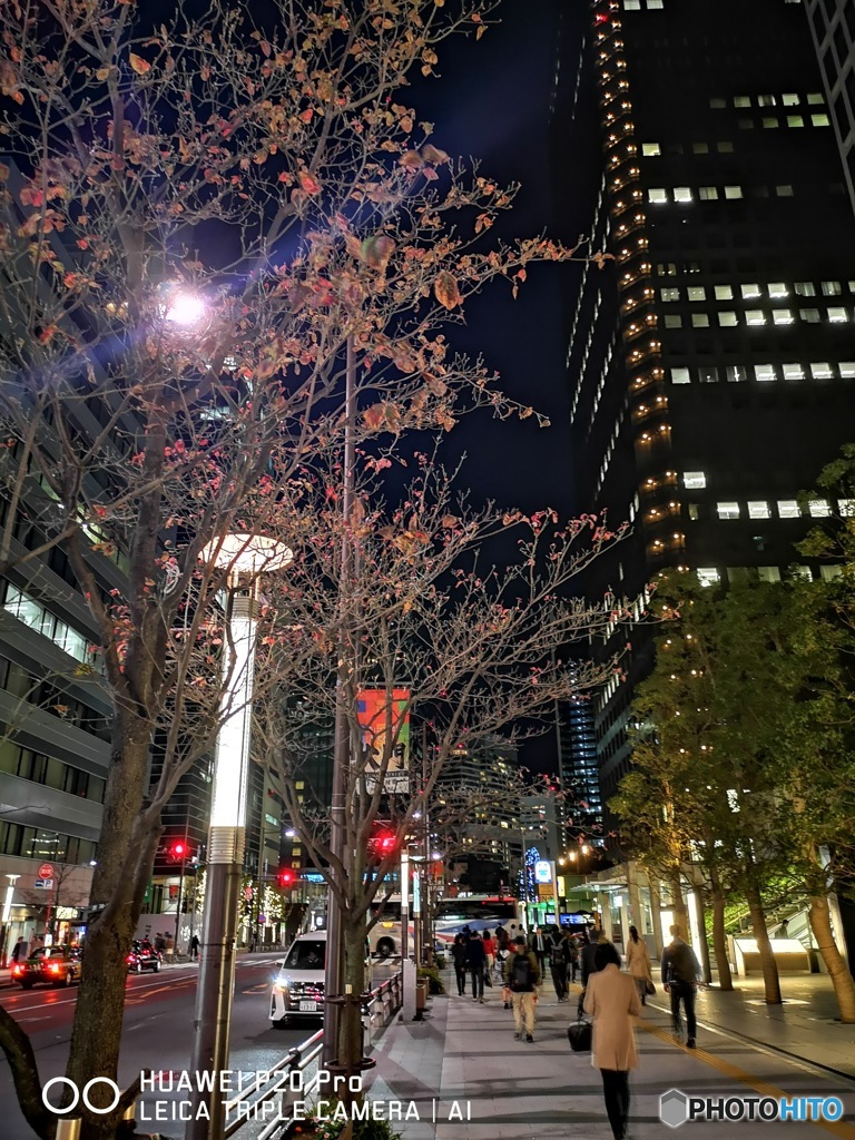 浜松町　帰り道