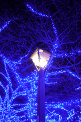 青の洞窟2014　#1