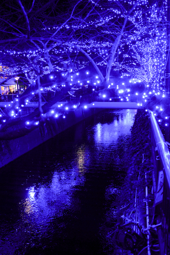 青の洞窟2014　#2