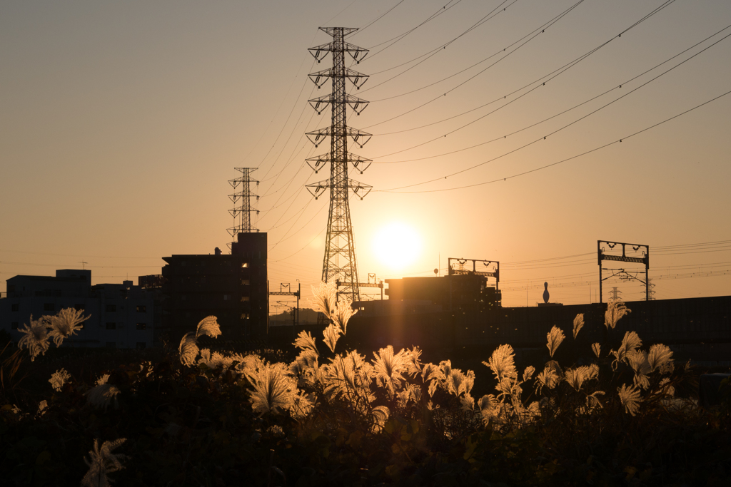 綱島　夕景7