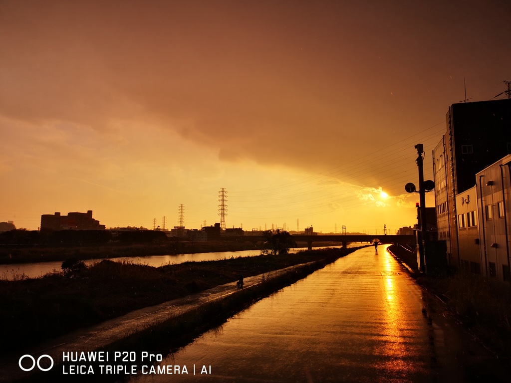 綱島　夕景　2019春