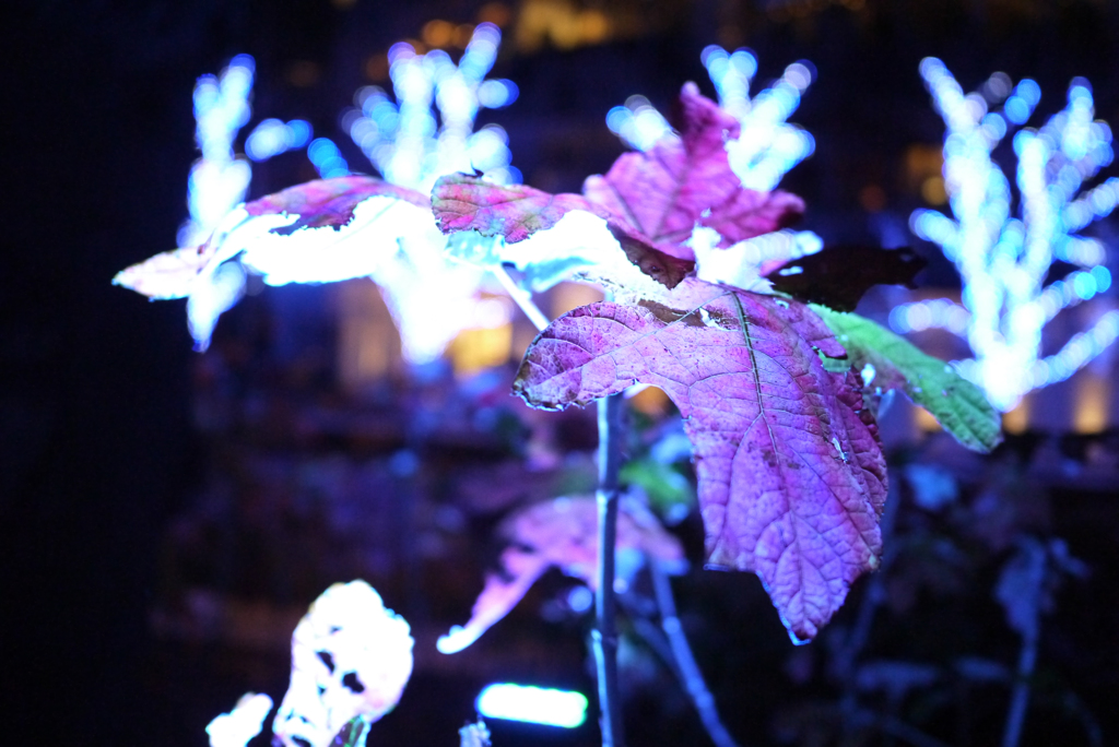 六本木ミッドタウン2014　＃2