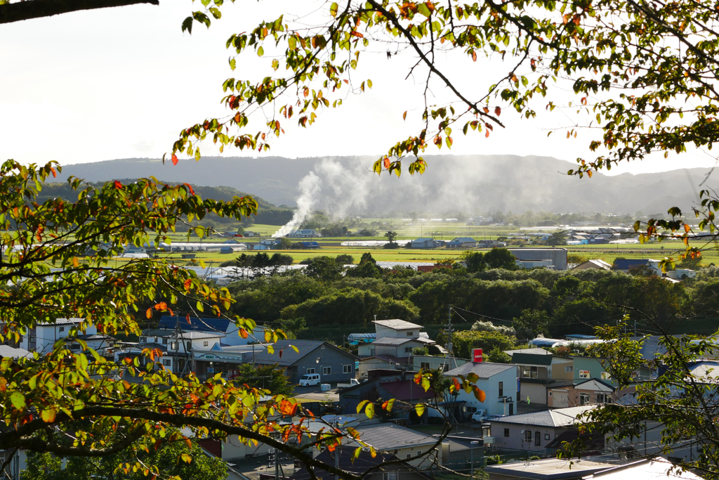 2019 秋　新ひだか町